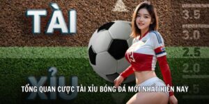 cược tài xỉu bóng đá 78wincomnet